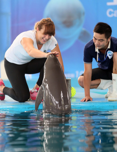 案例分析 案例分析